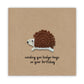 Birthday Hedgehog, Birthday Card, Birthday Card, Happy Birthday Card